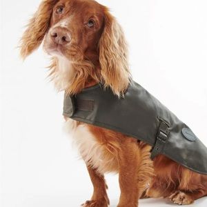 Barbour Dog for Pets - Poshmark